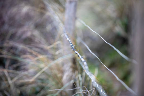 A barbed wire fence next to a path protecting nature.
