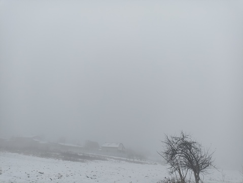 Fog in the winter. Seasonal photography