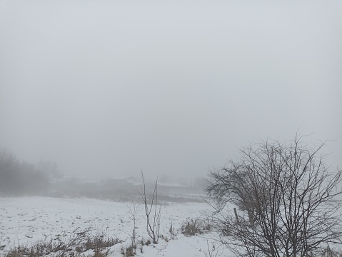 Fog in the winter. Seasonal photography