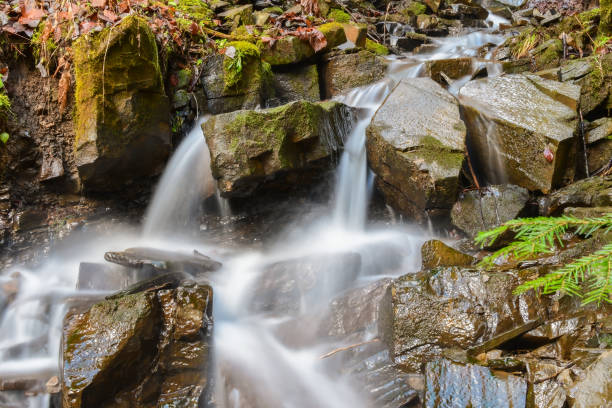 istock Water flowing in Transylvania forests 1456259596