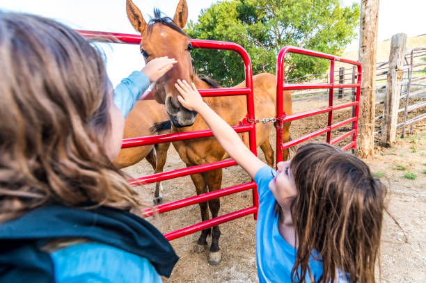 niños y caballos, dos niñas acarician caballos en una granja o rancho - horse child animal feeding fotografías e imágenes de stock