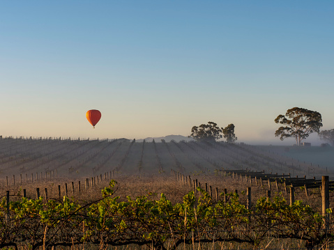 Hot air balloons at sunrise in the Yarra Valley