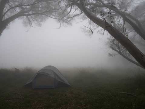 Hiking tent of gray foggy morning in between trees