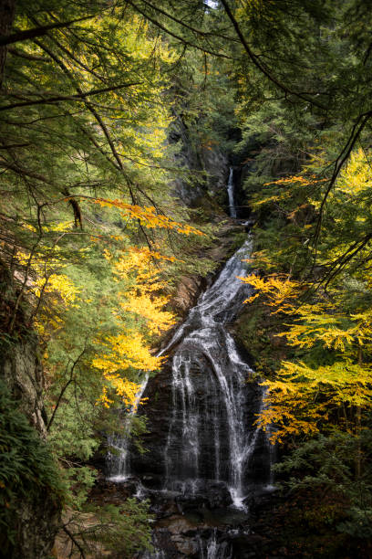 istock Fall Foliage at a waterfall in Stowe, Vermont 1456265113