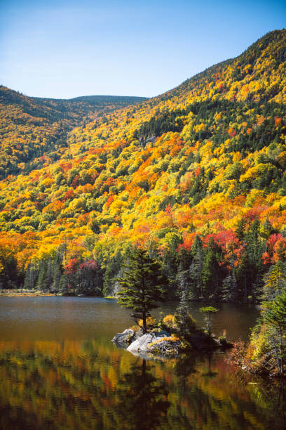 istock Fall Foliage at Beaver Pond along the Kancamagus Highway NH 1456265127