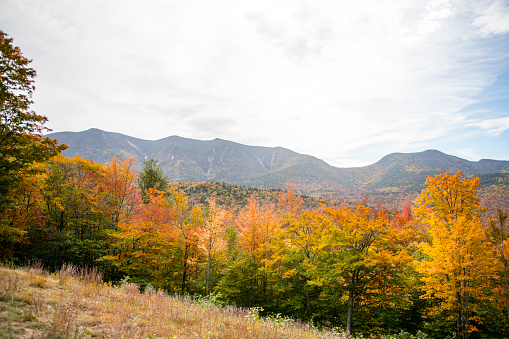 Fall Foliage at Hancock Overlook along the Kancamagus Highway NH in Lincoln, New Hampshire, United States