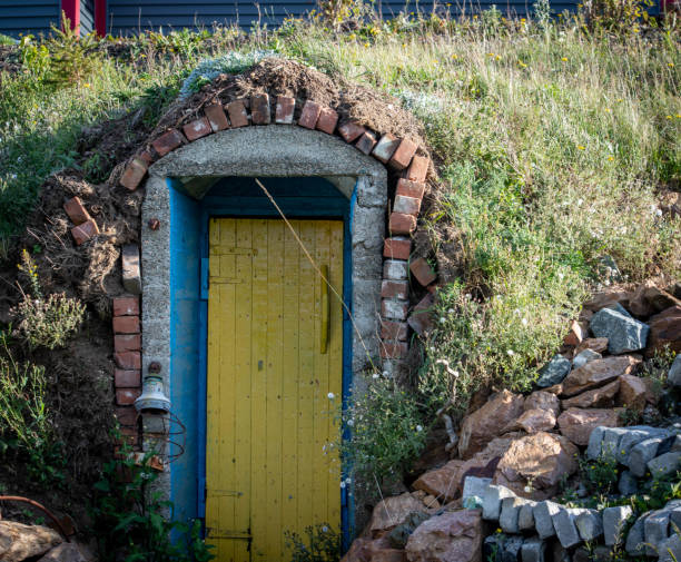 istock colorful wooden root cellar door 1456272070
