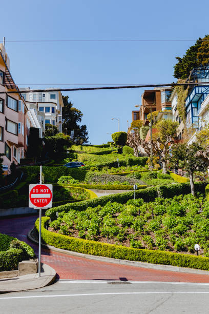 サンフランシスコのロンバード通り - lombard street city urban scene city life ストックフォトと画像