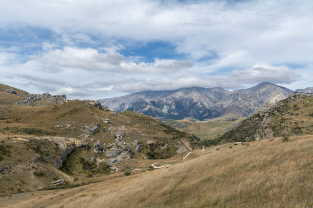 istock New Zealand landscape under blue sky 1456278395