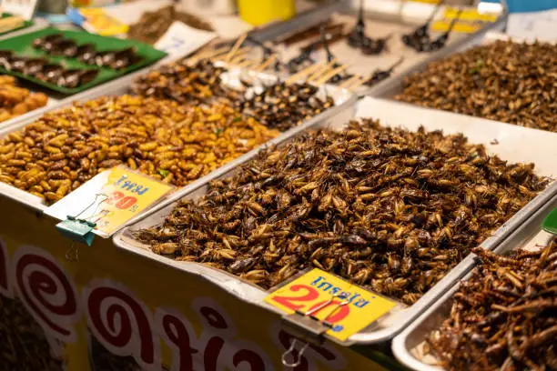 Thai food at the market. Fried insects. Cockroaches, grasshoppers, caterpillars, scorpions. An unusual snack a thrill