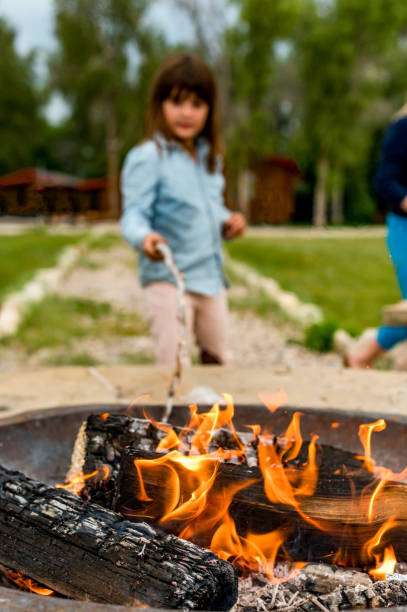istock Cute kids roast marshmallows making s’mores over a campifire 1456290101