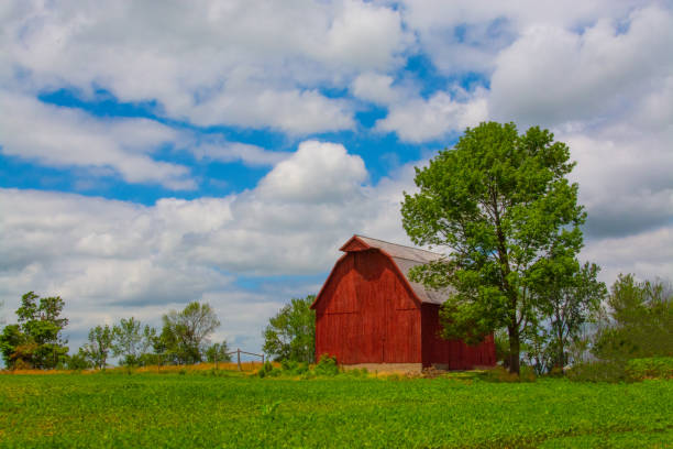 istock Barn-Red Barn with a soy bean field-Miami County, Indiana 1456290290