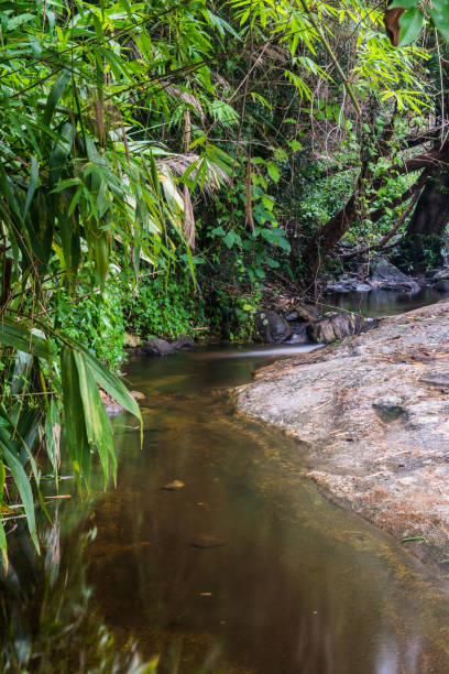 istock Water Flowing at Wang Bua Ban waterfall in Natural Park 1456290375