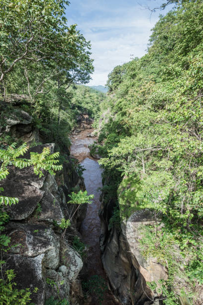 istock Brown water flowing in Ob Luang national park 1456292311