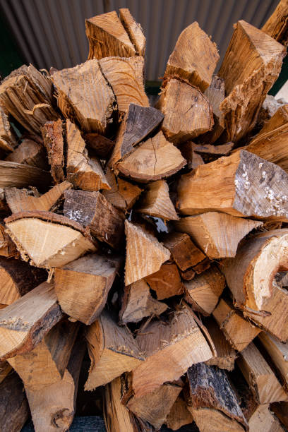 istock Firewood stacked in preparation for winter. 1456296287