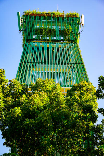 grüner turm des royal flora ratchaphruek parks in der provinz chiang mai - royal botanical garden stock-fotos und bilder