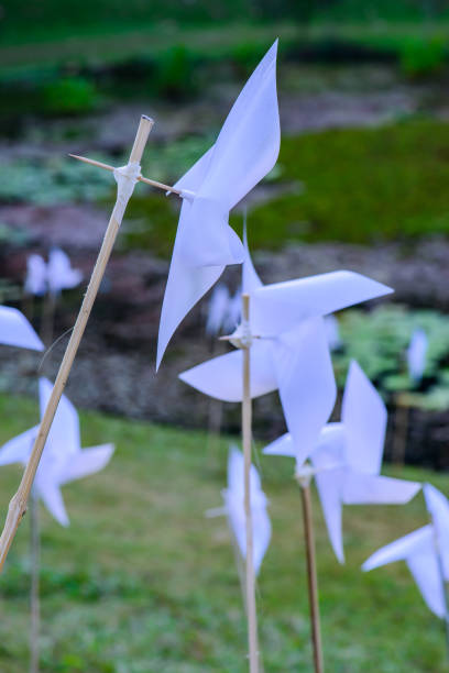 istock Plastic White Wildmill in The Park 1456304939