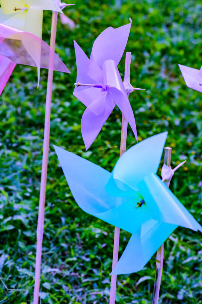 istock Plastic Violet Wildmill in The Park 1456304965