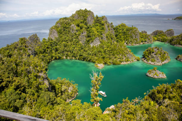 istock Scenic view of Raja Ampat 1456308950