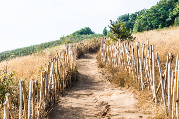 Parque Nacional Doi Phu Kha Banco de Imagens e Fotos de Stock iStock
