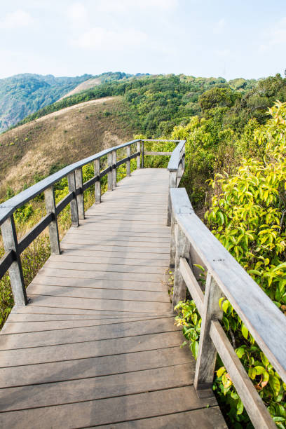 Parque Nacional Doi Phu Kha Banco de Imagens e Fotos de Stock iStock