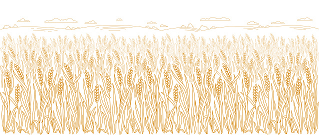 Editable outline stroke thickness. Vector line. Leaves and ears of wheat. Design wrapper packaging of bakery. Horizontal banner.