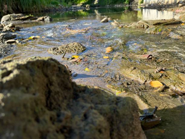 istock Closeup view of a river on a sunny day. 1456316599