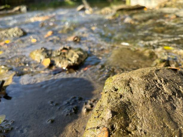 widok z bliska na rzekę w słoneczny dzień. - gurgling zdjęcia i obrazy z banku zdjęć