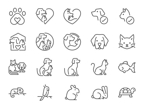 애완 동물 친화적 인 아이콘 세트입니다. 아이콘은 개, 고양이, 동물, 새, 물고기 등으로 포함되었습니다. - dogs stock illustrations