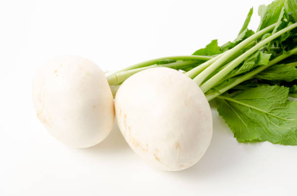 istock Japanese White Turnip on white background 1456319782