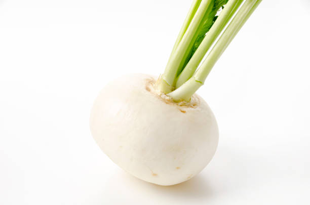 istock Japanese White Turnip on white background 1456320999