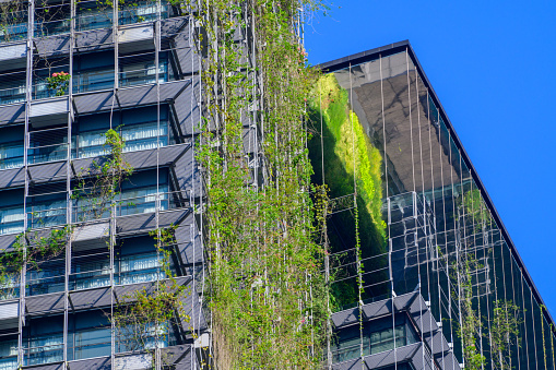 Low angle view of apartment building with vertical gardens, background with copy space, Green wall-Bio Wall or living wall is a wall covered with living plants on residential tower in sunny day