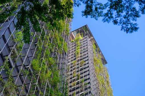 Low angle view of apartment building with vertical gardens, background with copy space, Green wall-Bio Wall or living wall is a wall covered with living plants on residential tower in sunny day