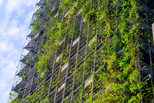 Low angle view of apartment building with vertical gardens, background with copy space, Green wall-Bio Wall or living wall is a wall covered with living plants on residential tower in sunny day
