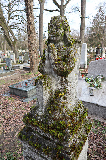 Angel figurine statue in the public cemetery