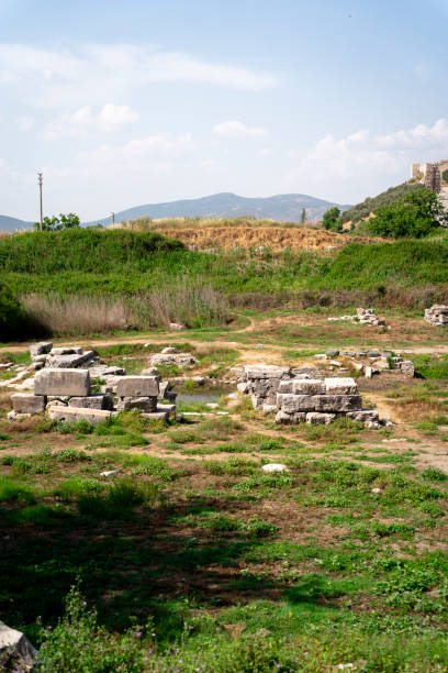 istock Ruins in Nature in Ephesus 1456324214