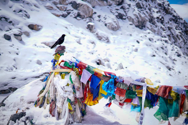 Bird and flag along the way to EBC