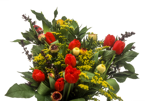Celebratory flower arrangement（ Phalaenopsis orchid, Calla, Carnation, Hypericum, Lily Longiflorum Asiatic, Alstroemeria, Hiba leaves, Pieris japonica )