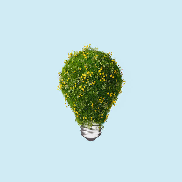 3D rendering of light bulb covered with grass stock photo