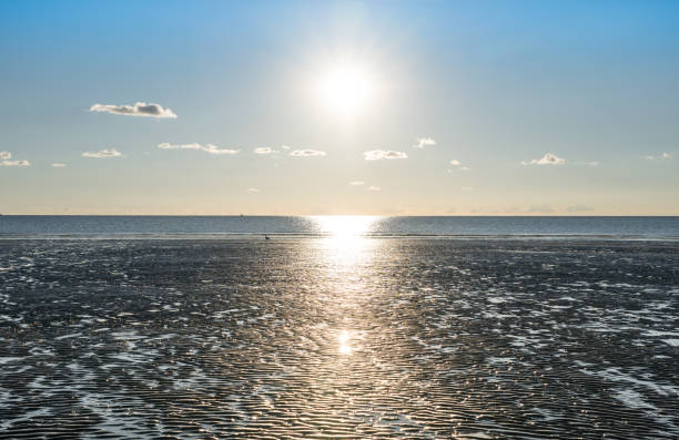 Ebb in the North Sea in Sank-Peter-Ording, Germany