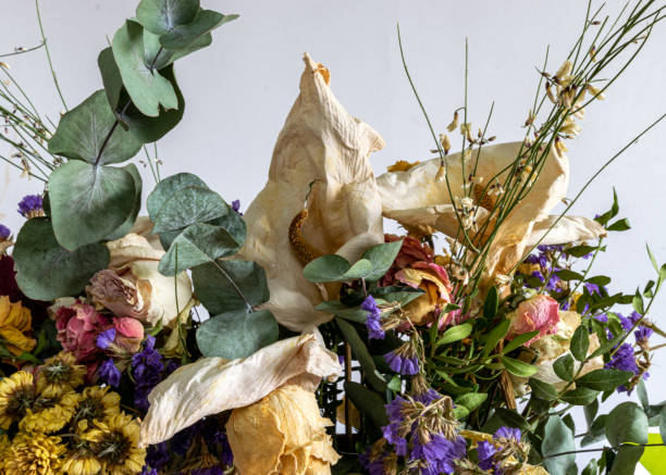 istock a composition of many different colored flowers from dry, dried flowers 1456337441