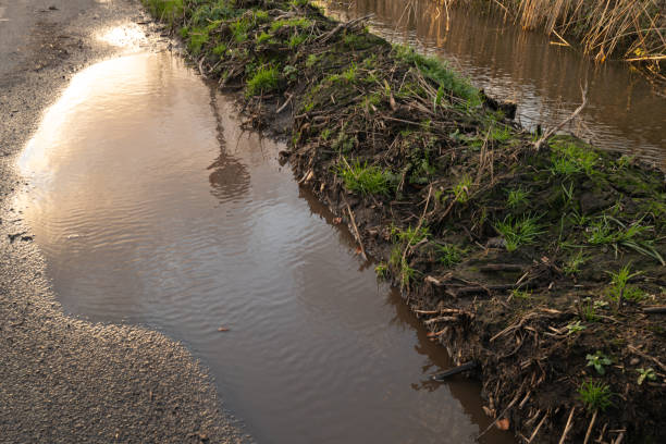 istock Flooded rural road due to heaving storms and climate change. 1456340185