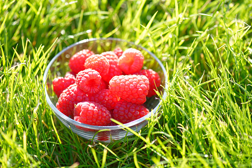 Ripe raspberries in a glass bowl on green grass. Selective focus. Low DOF