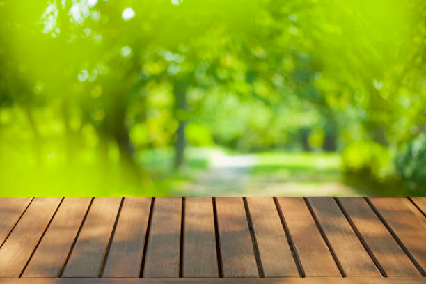 istock wooden table with park bokeh banner 1456345063