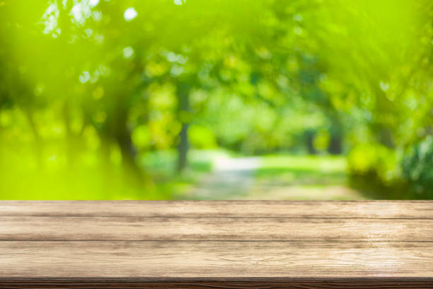 istock wooden table with park bokeh banner 1456345067