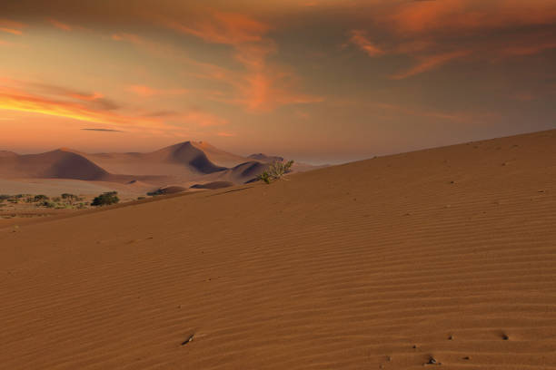 Sossusvlei in der Namib Wüste in Namibia