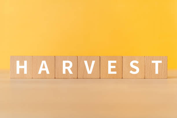 istock Wooden blocks with 
