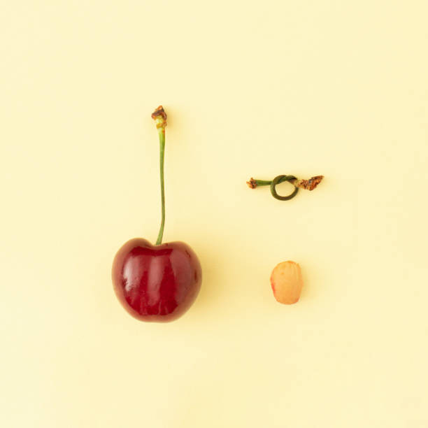 istock Cherrystone with stalk knot and red cherry fruit on yellow background 1456354443