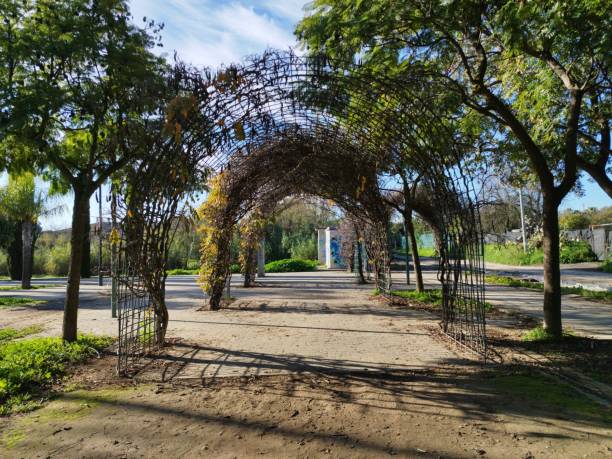 istock dirt road in the park 1456355466