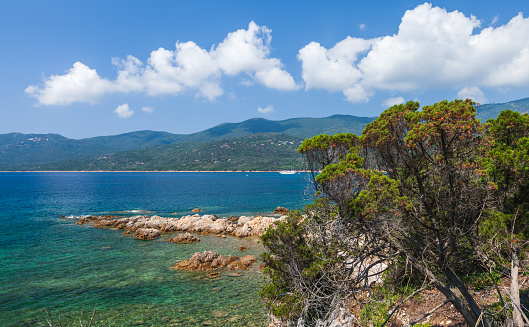Cupabia beach. Coastal landscape of Corsica island on a sunny summer day, Plage de Cupabia